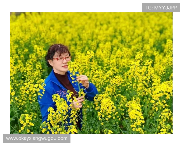 春暖花开，最新篇章：拥抱生机，点亮生活
