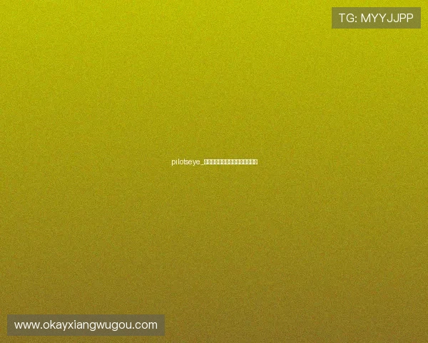 pilotseye_俯瞰世界的壮丽，洞见未来的无限